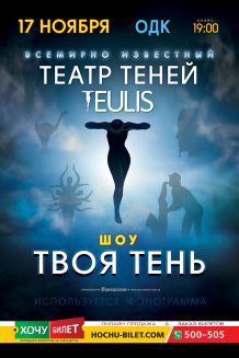 театр теней TEULIS в Николаеве (17.11)